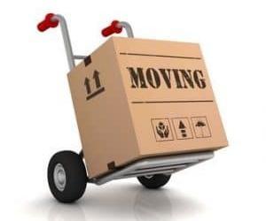 office move telecommunications